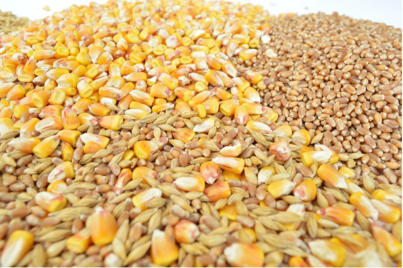 Warum glutenfrei nicht einfach immer „glutenfrei“ bedeutet